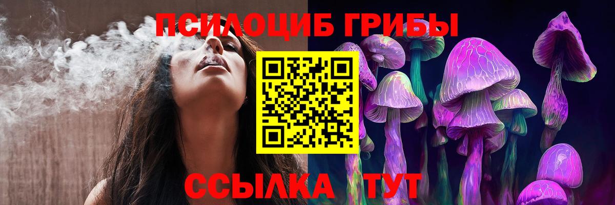 Конаково  Галлюциногенные грибы прущие грибы  Вход с VPN  Галлюциногенные грибы MAGIC MUSHROOMS 