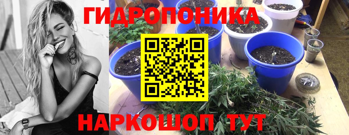 Конаково  Бошки марихуана Ganja  Шишки марихуана Ganja  Марихуана VHQ  Вход с VPN 